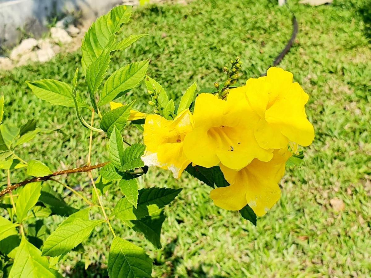 B-Tel Chomthong Resort Chiang Mai Chom Thong Buitenkant foto